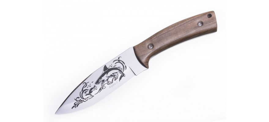 Kizlyar knife "Shark-2" (Akula-2) Shark Imprint.
